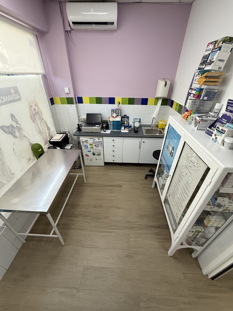instalaciones veterinario en mostoles