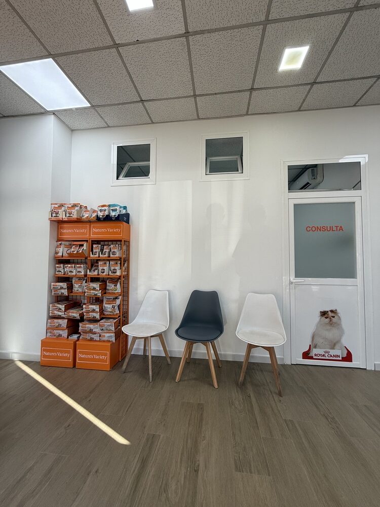 nstalaciones veterinario en mostoles 10