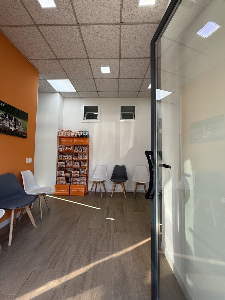 nstalaciones veterinario en mostoles 11