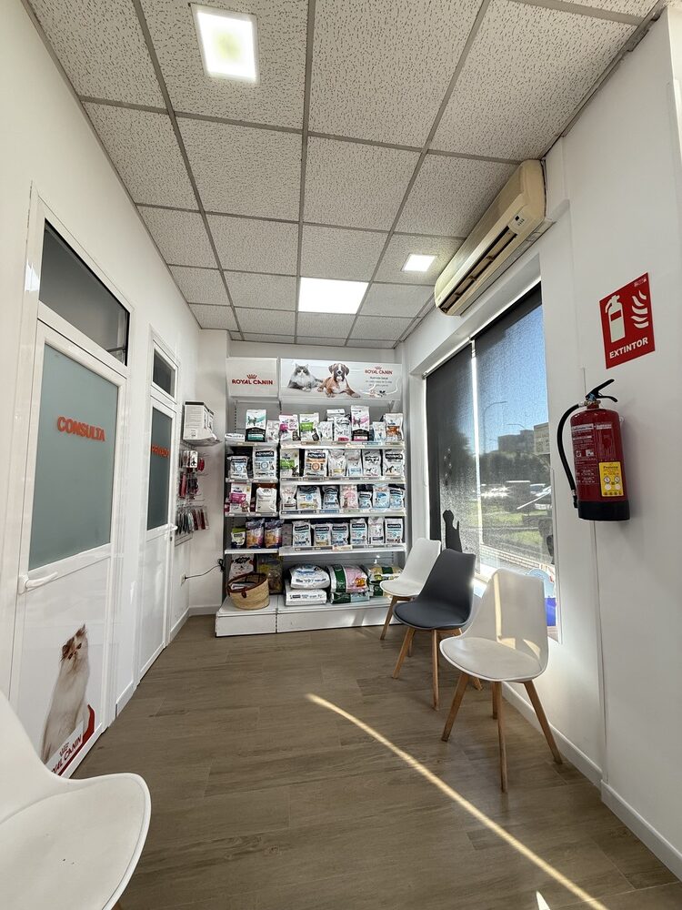 nstalaciones veterinario en mostoles 12