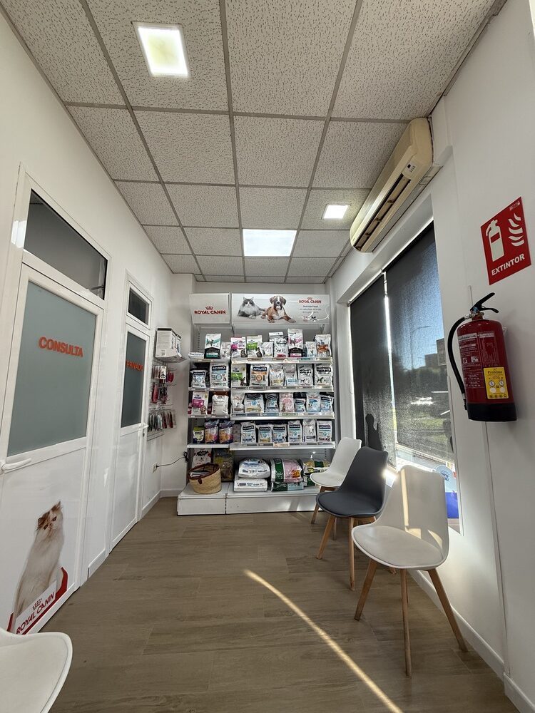nstalaciones veterinario en mostoles 13