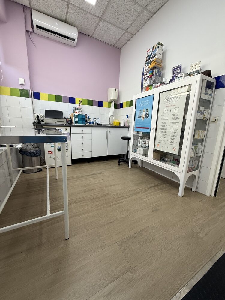 nstalaciones veterinario en mostoles 2