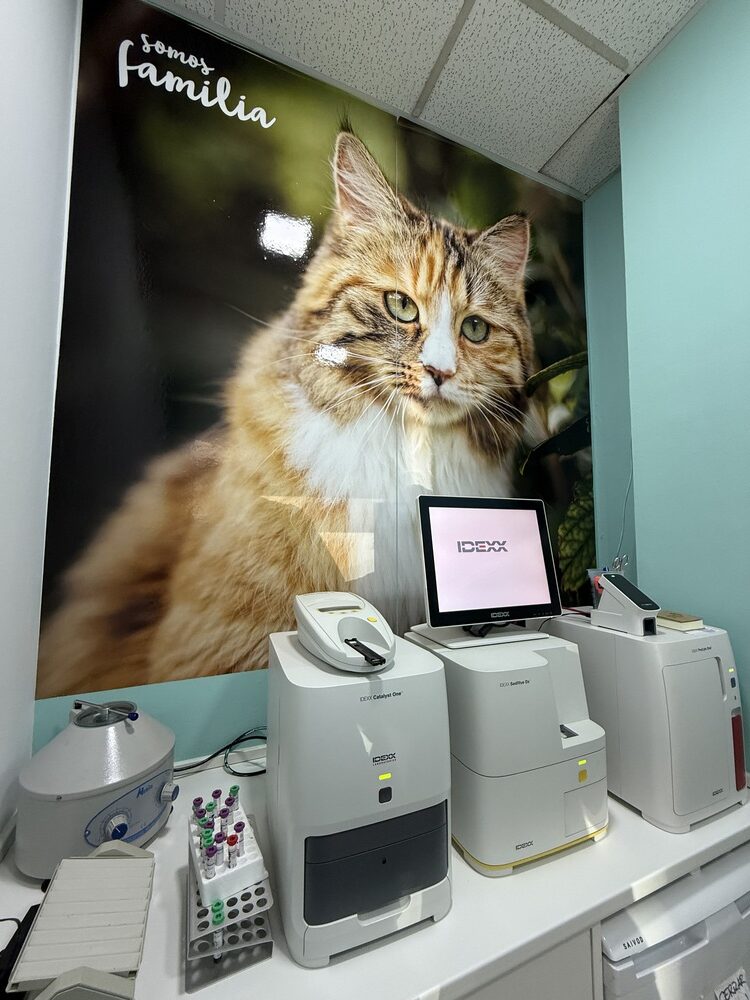 nstalaciones veterinario en mostoles 3
