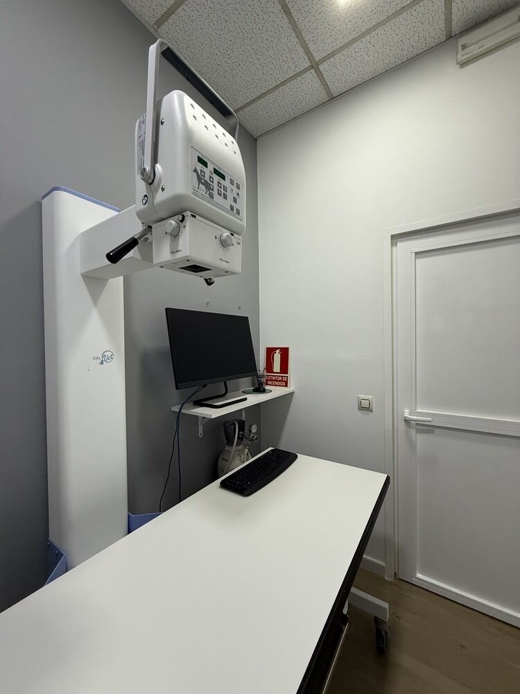 nstalaciones veterinario en mostoles 5