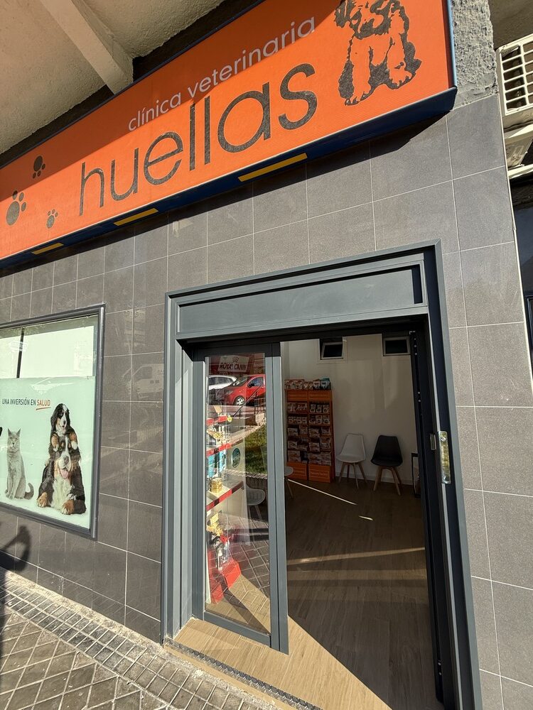 nstalaciones veterinario en mostoles 6