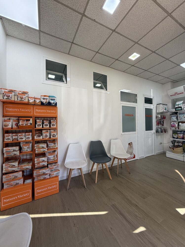 nstalaciones veterinario en mostoles 7