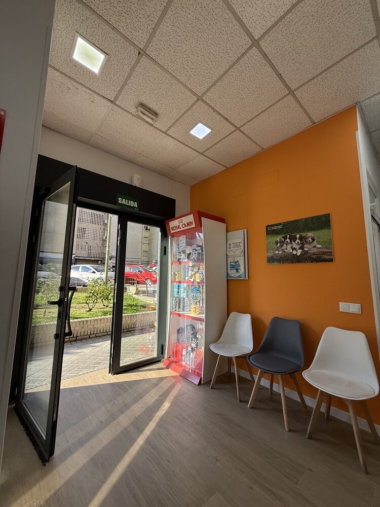 nstalaciones veterinario en mostoles 8