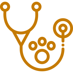 consulta veterinario