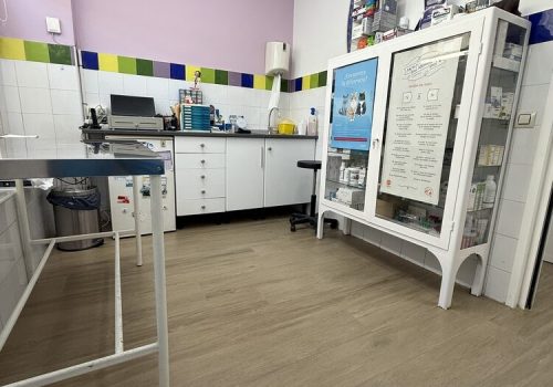 nstalaciones veterinario en mostoles 2